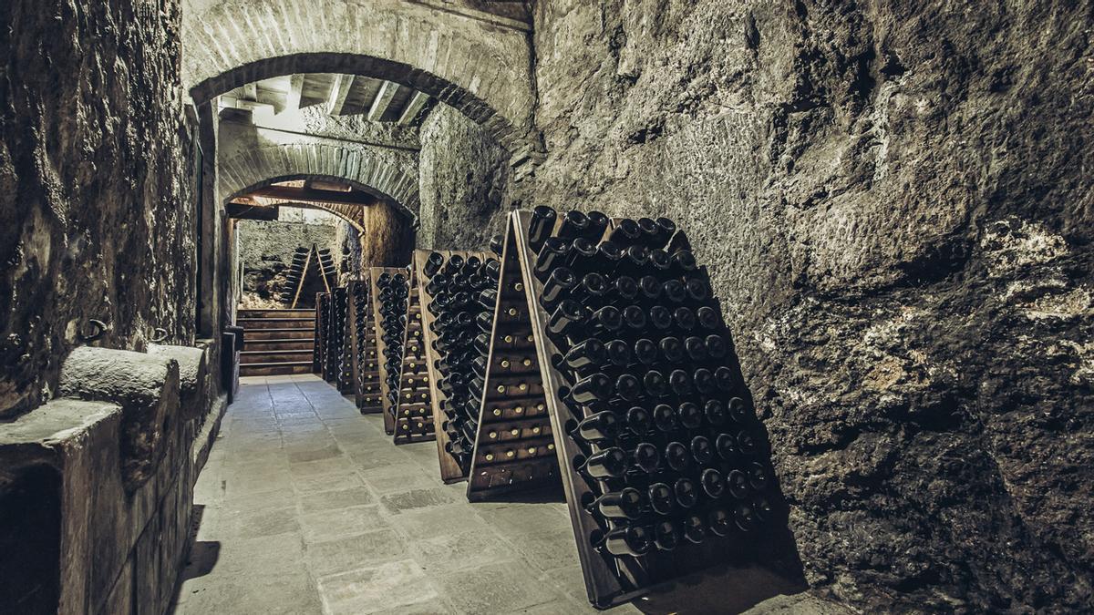 La bodega de Pago de Tharsys se ubica en el centro de una finca de viñedos ecológicos.