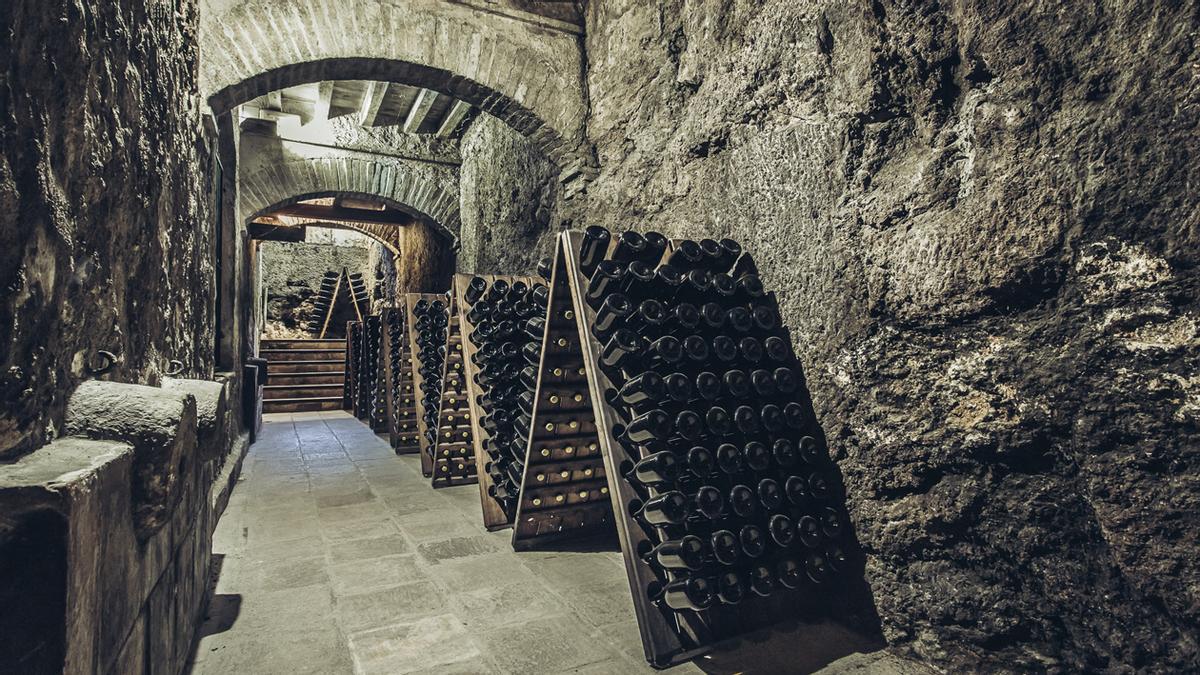 La bodega de Pago de Tharsys se ubica en el centro de una finca de viñedos ecológicos.