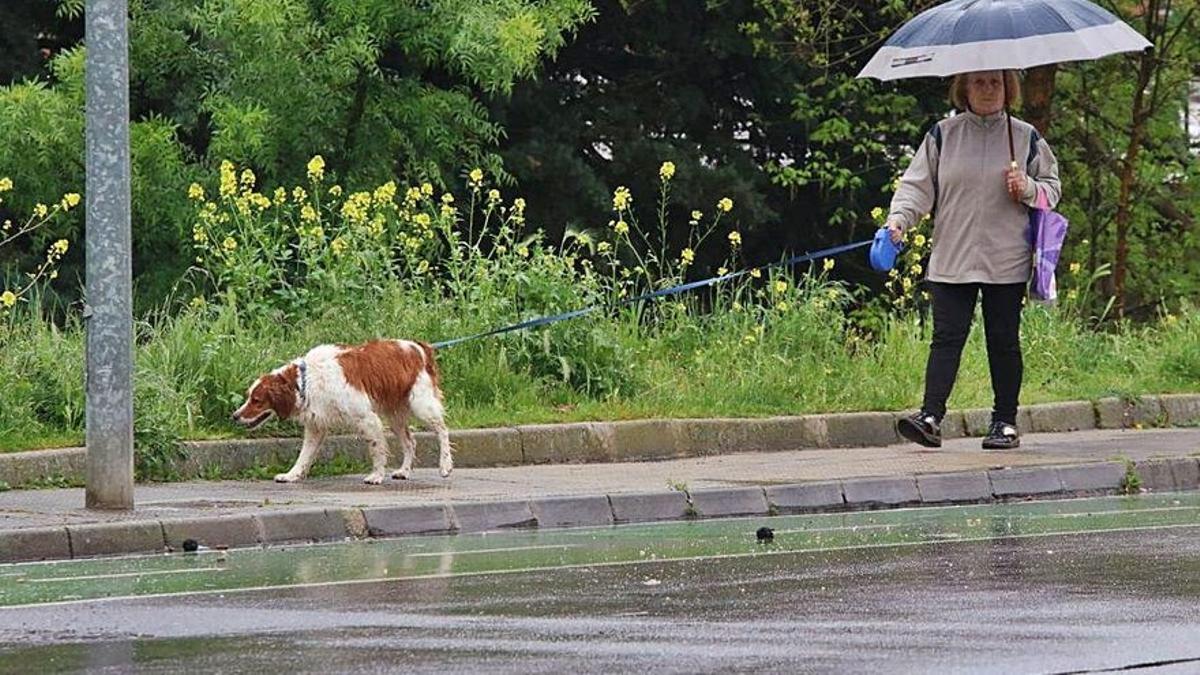Una vecina pasea un perro en Zamora bajo la lluvia al principio de la pandemia.