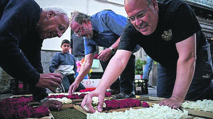 Toni Cedrés, uno de los participantes en la alfombra de la Esclavitud del Cristo de La Laguna en el Corpus Christi de 2019.