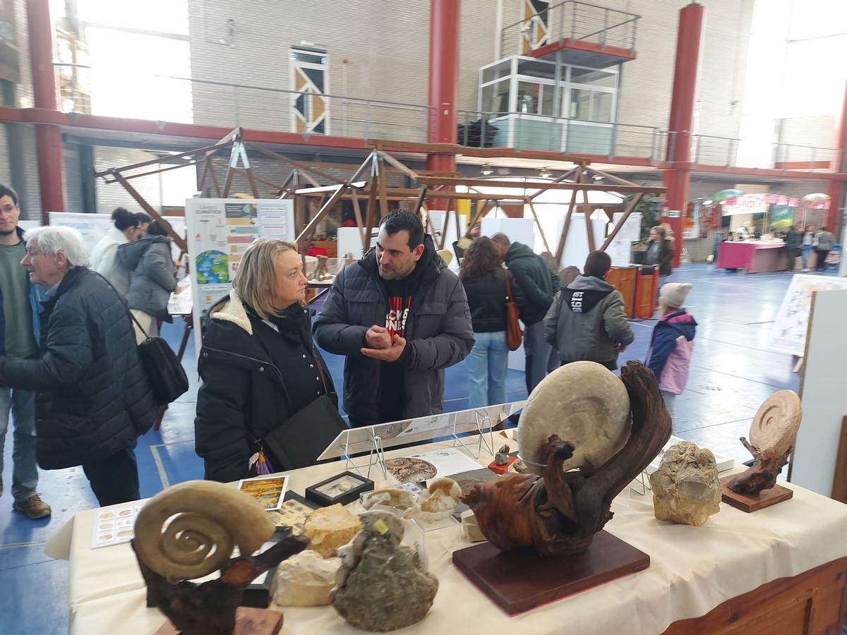 En imágenes: Éxito de la primera feria de fósiles, meteoritos y minerales de Vegadeo