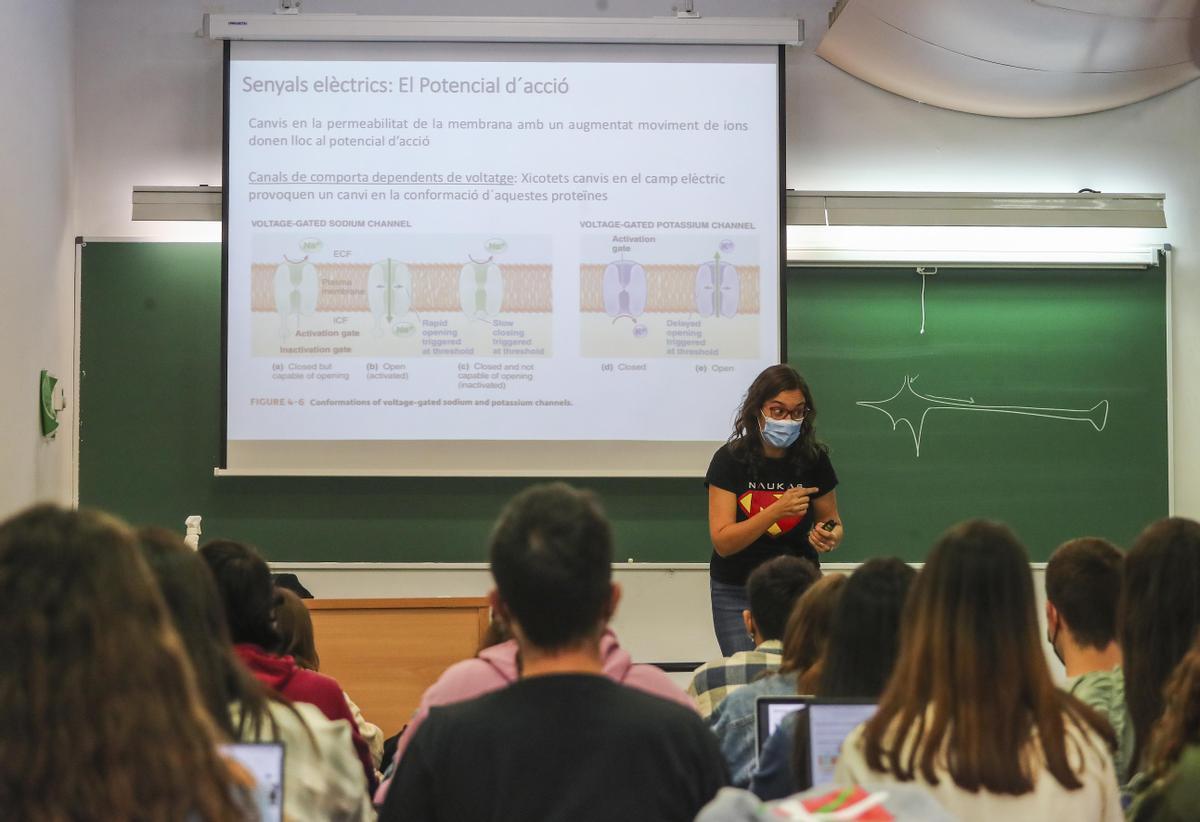 Una profesora de universidad  de la UV, en una imagen de archivo.