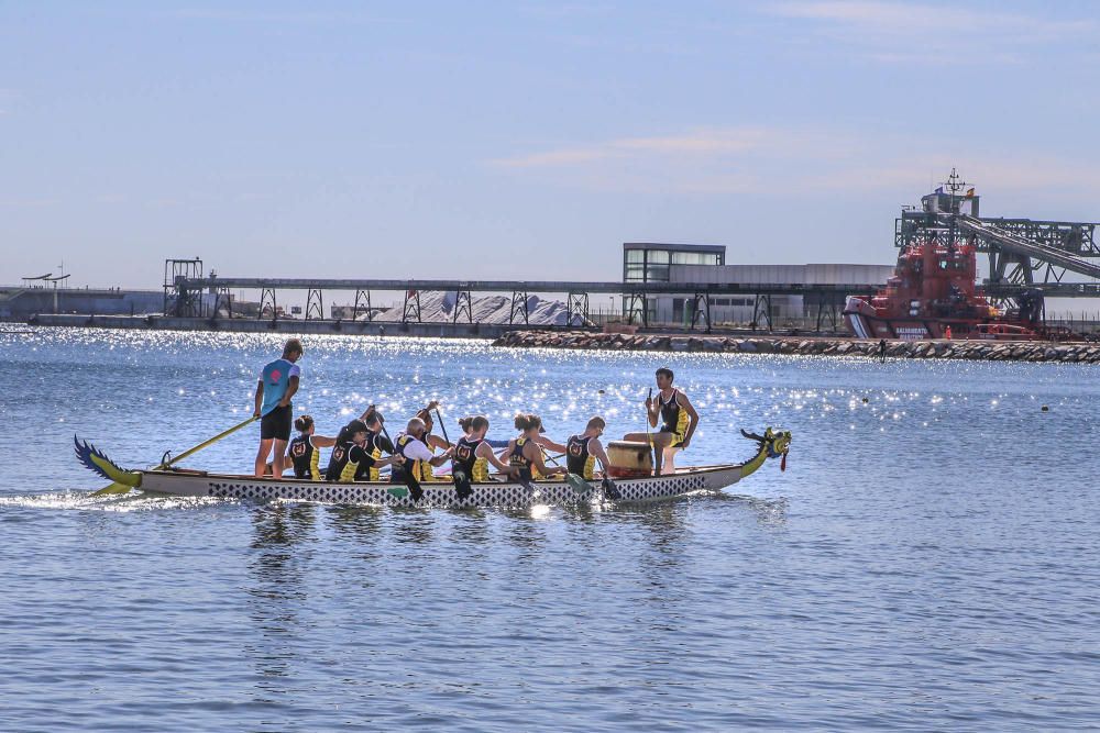 Lo dragones toman la bahía de Torrevieja