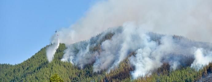 10-08-2019 ARTENARA. Incendio en la cumbre de Gran Canaria  | 10/08/2019 | Fotógrafo: Andrés Cruz