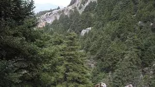 La Sierra de las Nieves se convierte en el decimosexto Parque Nacional de España