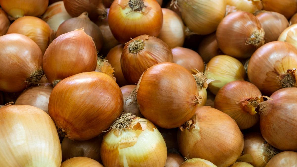 Esta es la verdura que no deberías olvidar en tu dieta: son muchos sus beneficios