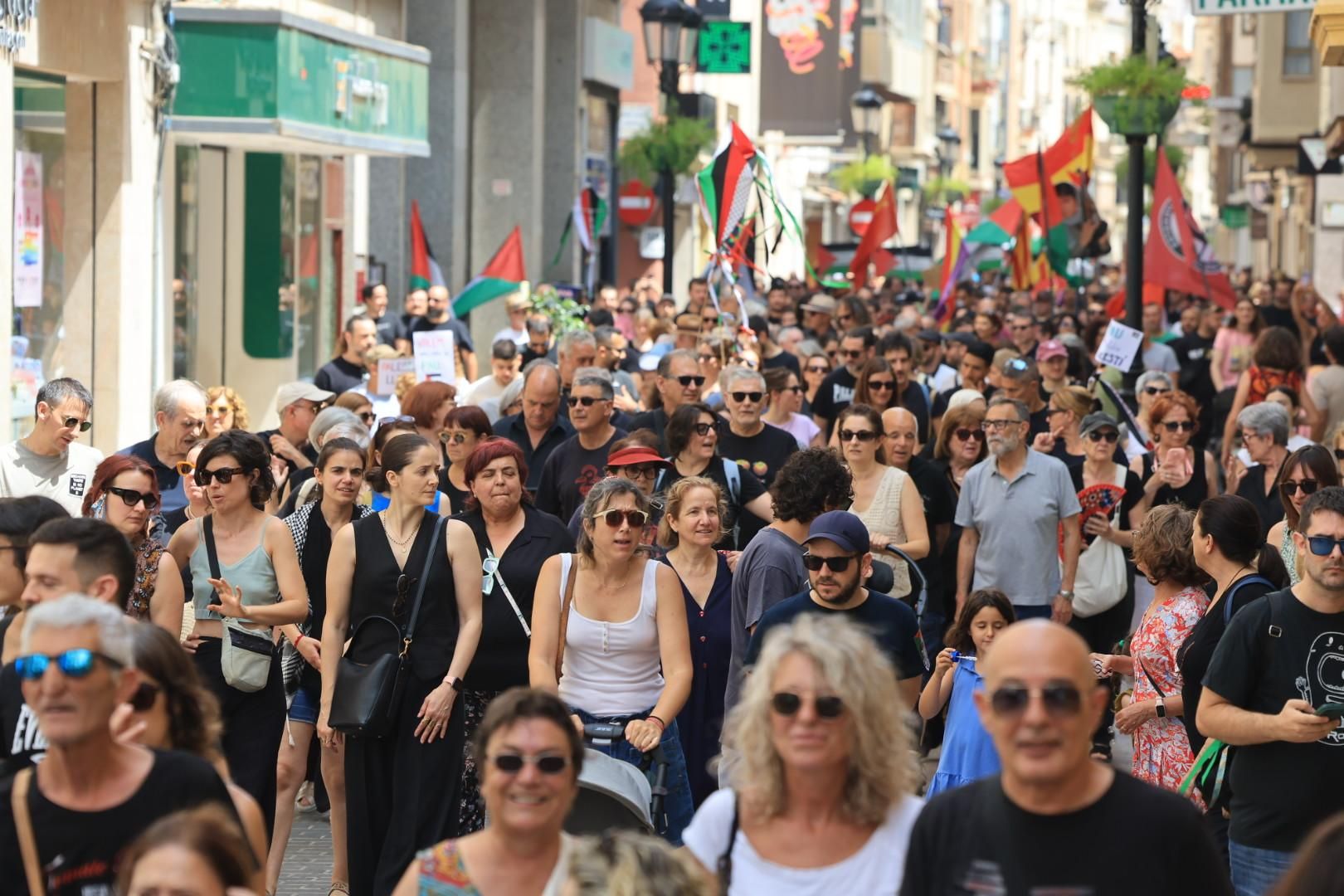 Manifestación a favor del pueblo palestino y la paz en Castellón