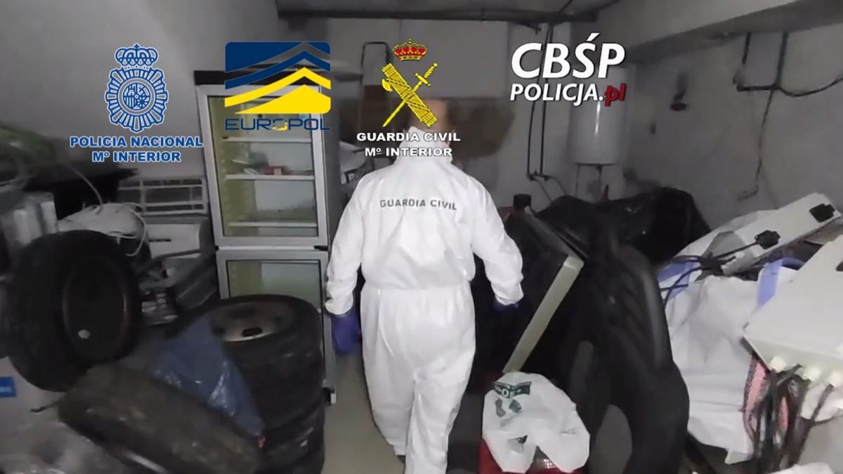 Un juzgado de Dénia desmantela una red que obtuvo cinco millones exportando cannabis a Polonia