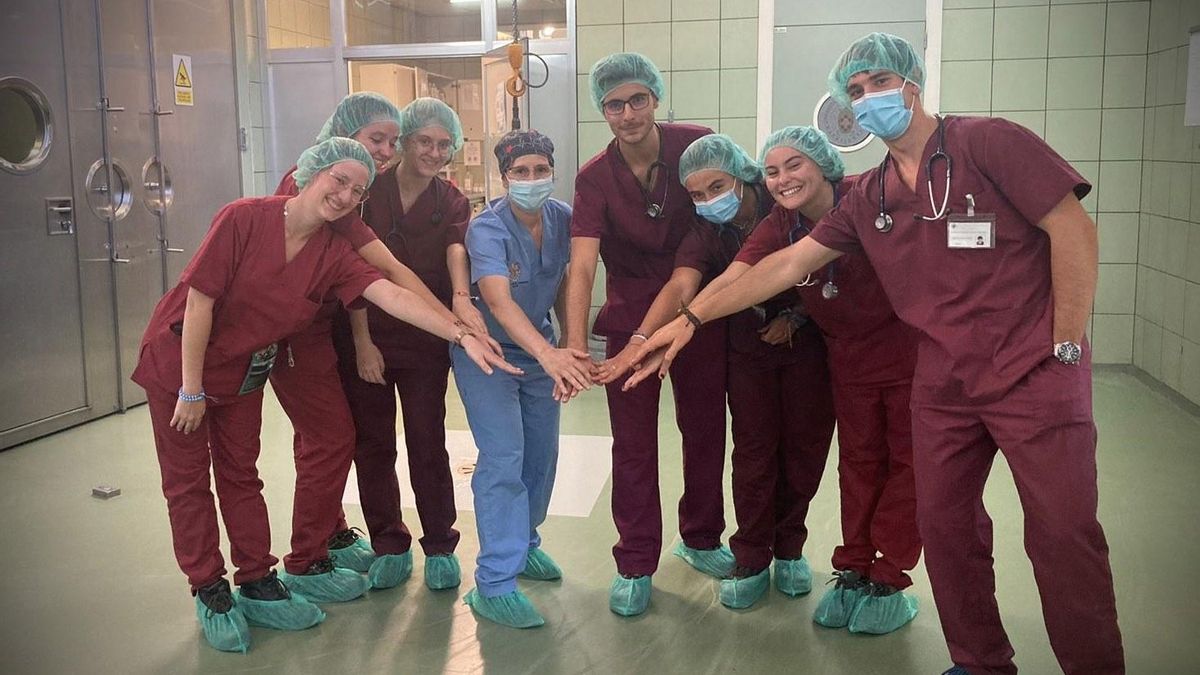 Veterinarios de la Universidad Complutense implantan un marcapasos a un caballo