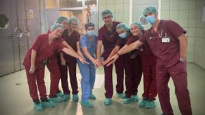 Veterinarios de la Universidad Complutense implantan un marcapasos a un caballo