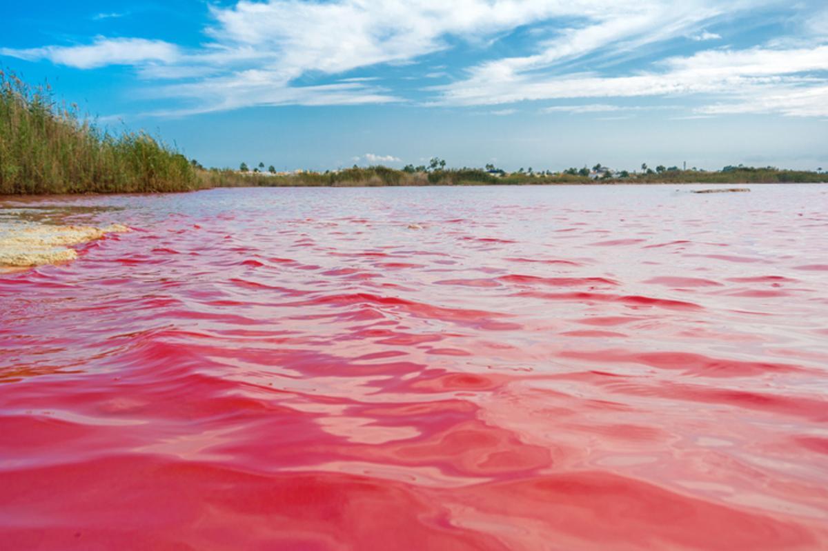 Podría parecer Photoshop, pero os aseguramos que el color de la laguna rosa es real.