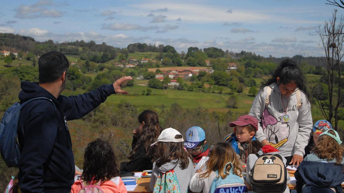 Una actividad del CEIP de Agolada en los montes de O Sexo.