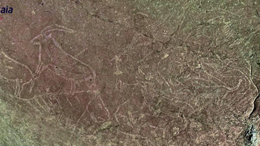 Descubren en Vizcaya un conjunto de grabados de hace 14.000 años