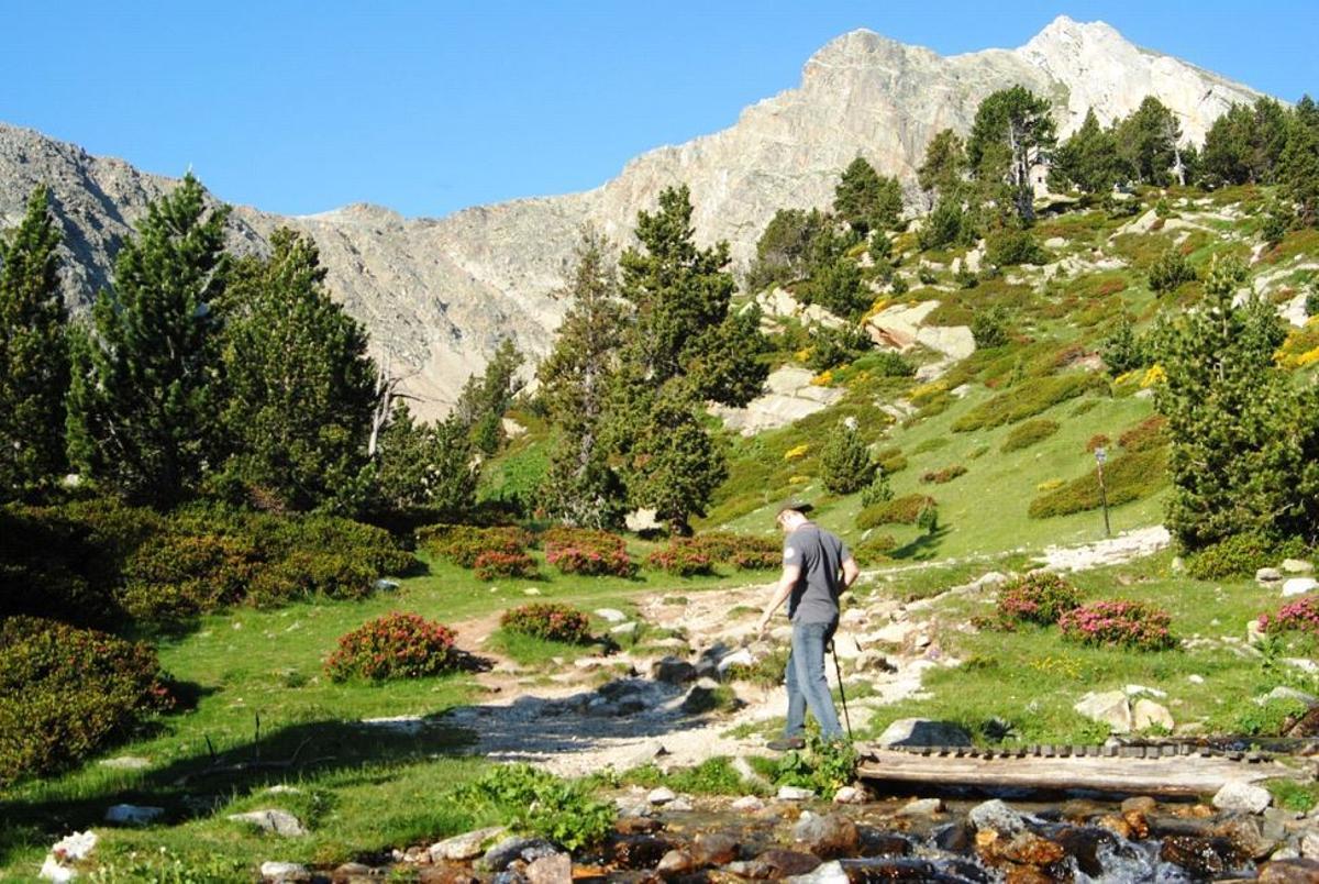 Parc Natural de les Capçaleres del riu Ter i Freser.