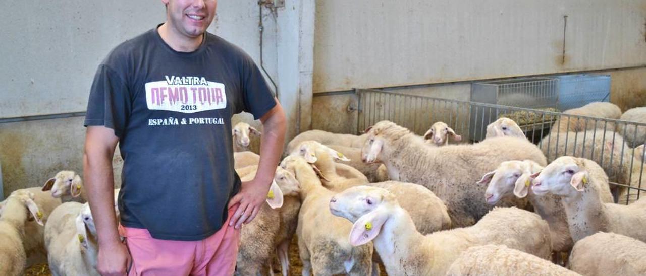 Sergio Suero Crespo con algunas de las ovejas de su quesería en Gamonéu de Cangas.