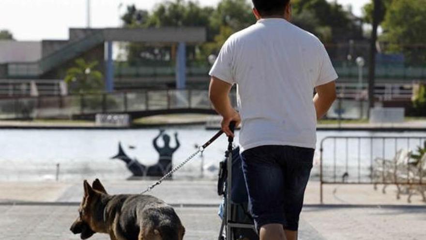 Un viandante paseando junto a su perro