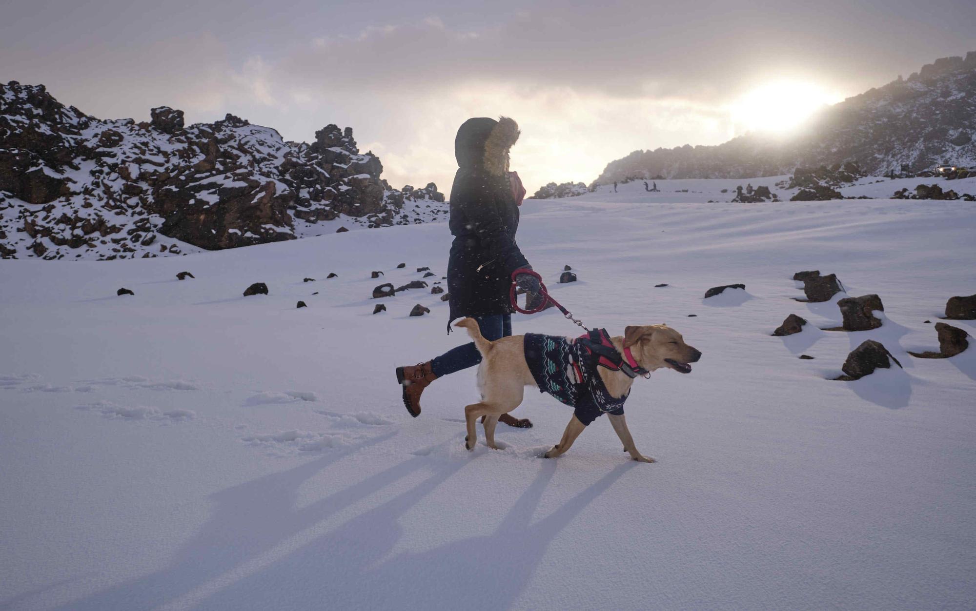 Nevada en el Teide