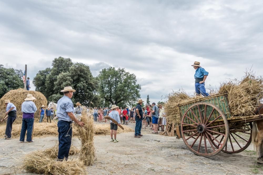 Avià manté amb força la transmissió de la tradició