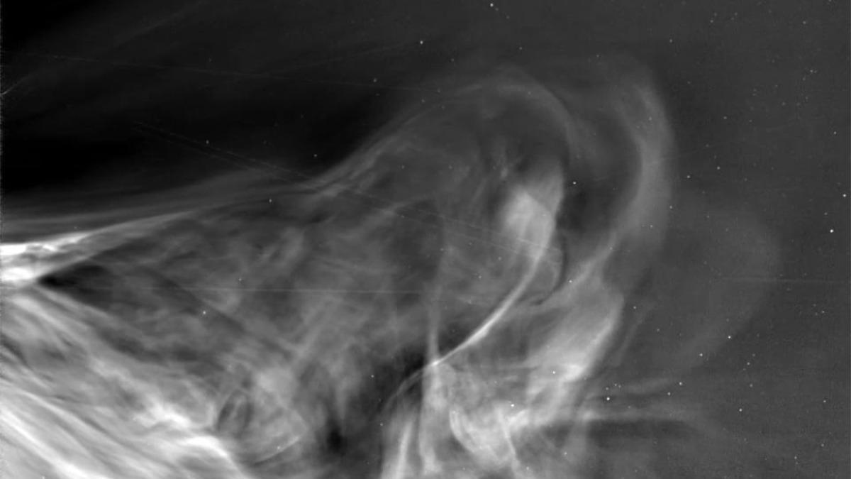 Bane mbaye foto nuda she speaks impressive native-like