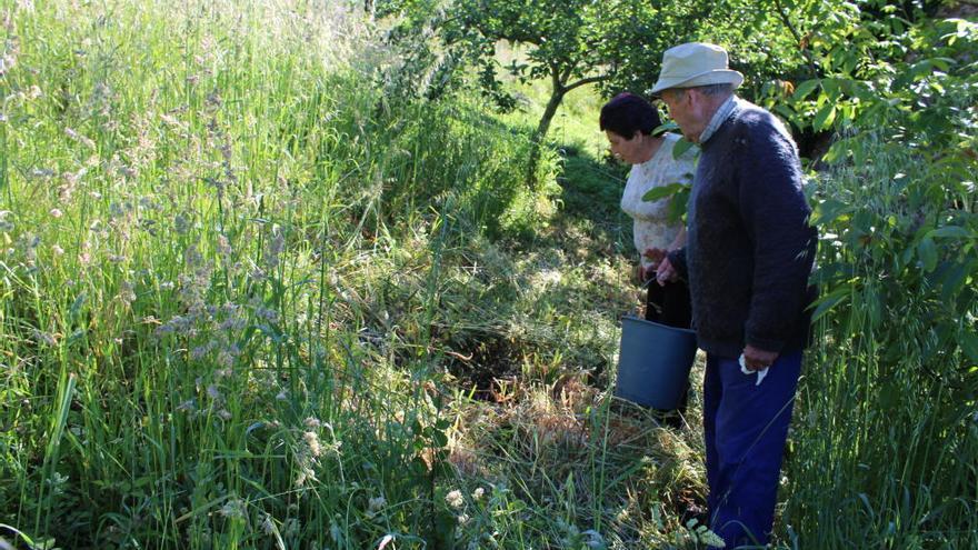 Rogelia Acevedo y Manuel Rodríguez muestran el punto exacto donde se produjo el ataque