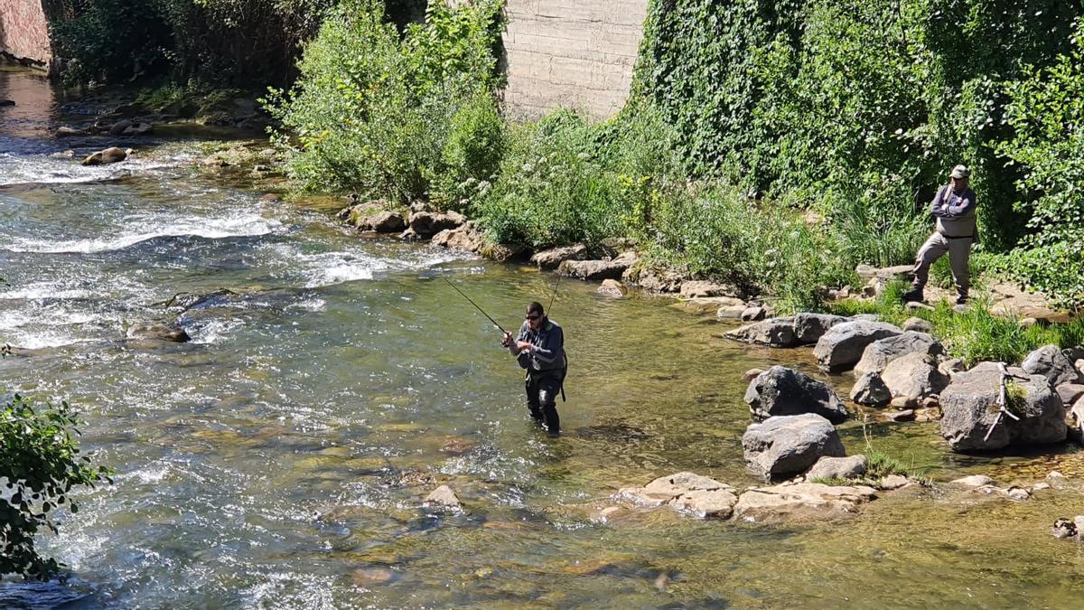 REGIONAL PESCA SALMÓNIDOS, EN EL PILOÑA.