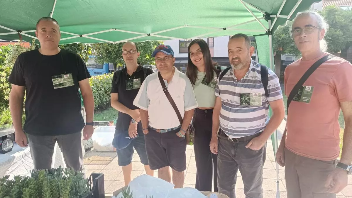 Productos de la huerta, plantas o manualidades: Noreña se vuelva con el mercadillo solidario de la Fundación Miraflores