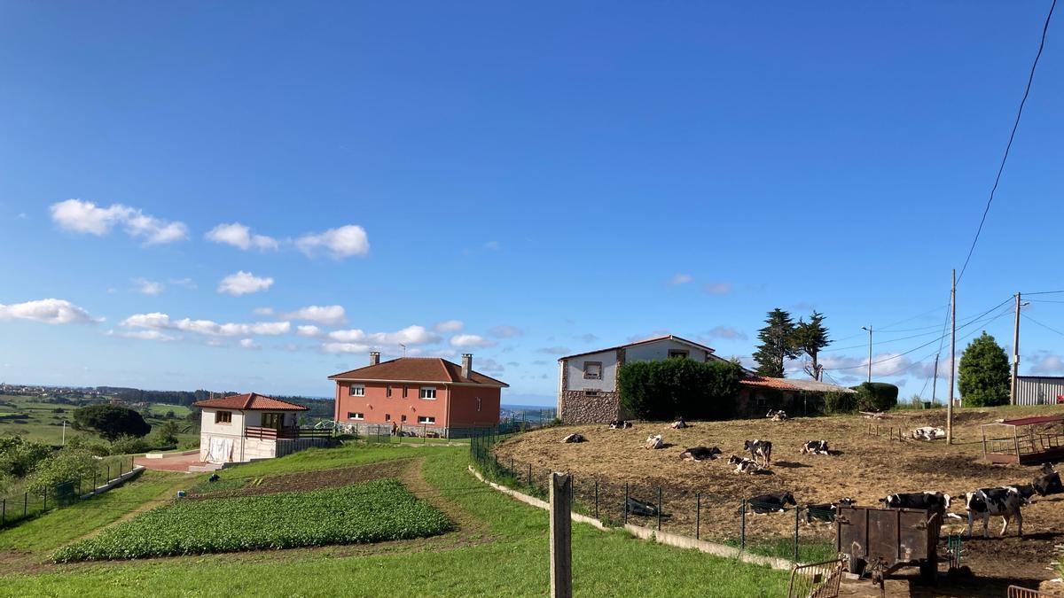 Viviendas en La Callezuela (Illas).