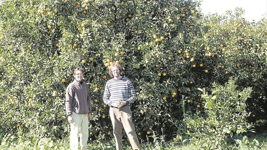 Biovalle, en el mercado de productores ecológicos en Biocórdoba