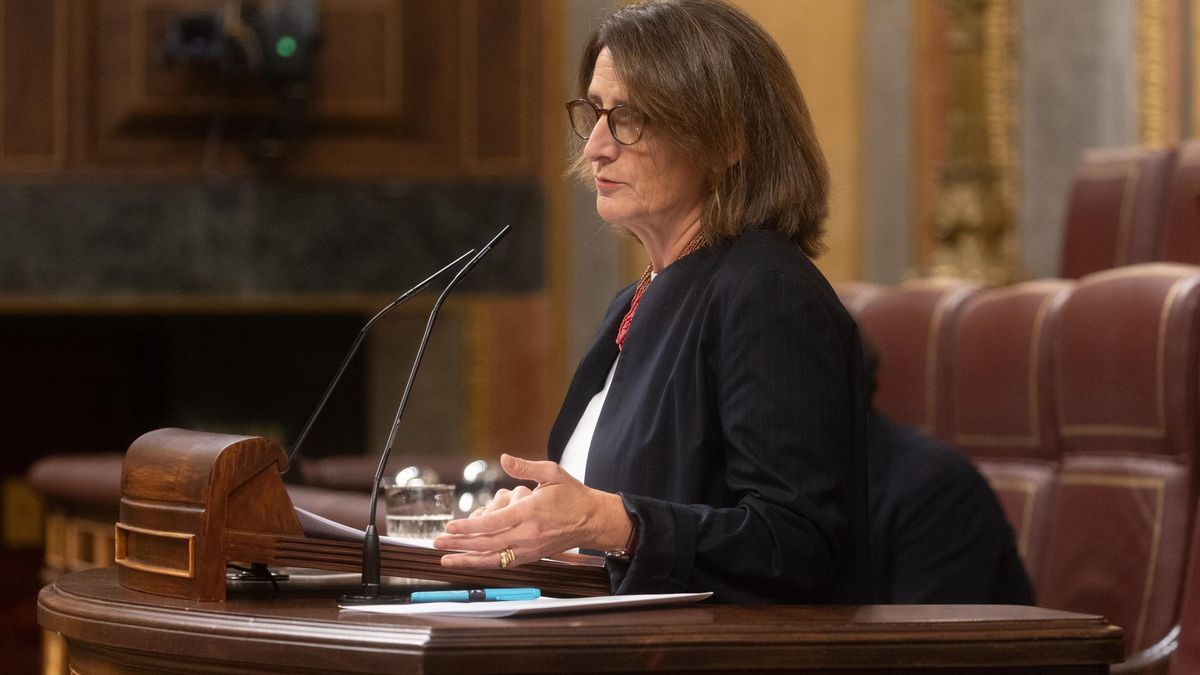 La vicepresidenta tercera y ministra para la Transición Ecológica y Reto Demográfico, Teresa Ribera, interviene durante una sesión plenaria en el Congreso de los Diputados, a 20 de noviembre de 2024, en Madrid (España). Ribera protagoniza la sesión con do