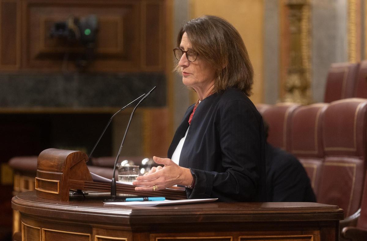 La vicepresidenta tercera y ministra para la Transición Ecológica y Reto Demográfico, Teresa Ribera, interviene durante una sesión plenaria en el Congreso de los Diputados, a 20 de noviembre de 2024, en Madrid (España). Ribera protagoniza la sesión con do