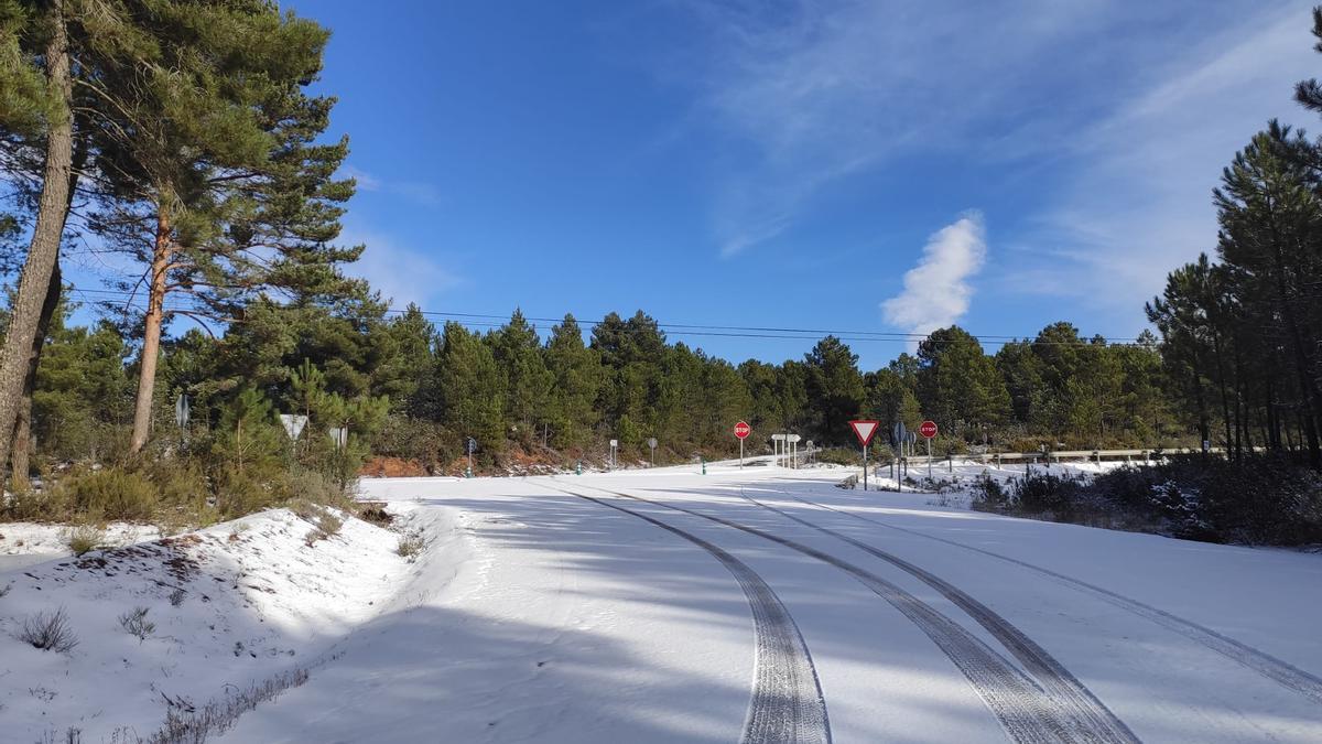 GALERÍA | La nieve del temporal Filomena llega a Aliste