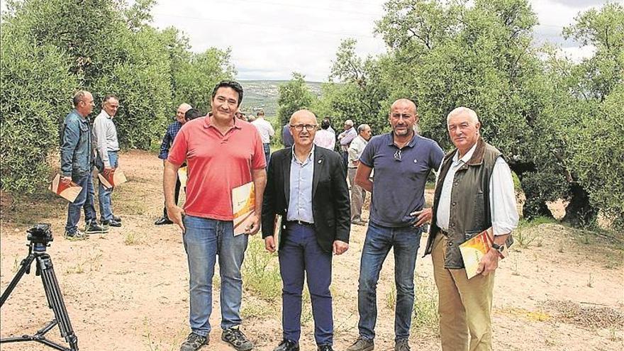 Jornadas de Agroasaja sobre la utilización de herbicidas en el olivar