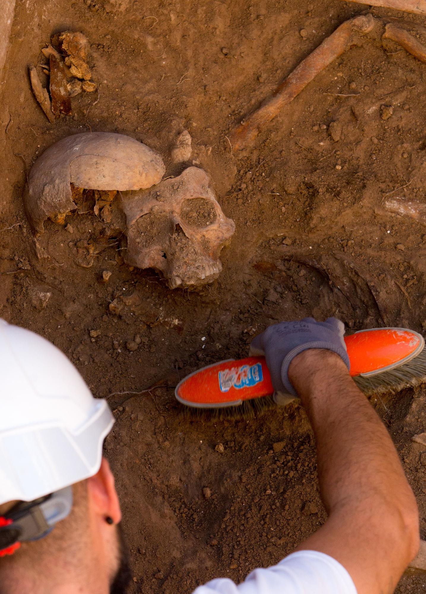 Exhumación en el cementerio de Alicante de los cuerpos represaliados durante la Guerra Civil