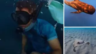 Sale a hacer snorkel en una playa y nadie da crédito a lo que ve: "Murcia es la nueva Maldivas"