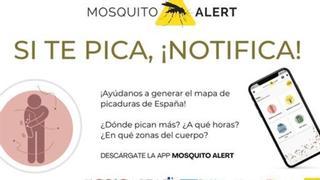 "Si te pica, notifica", la nueva 'app' de Fernando Simón para luchar contra los mosquitos