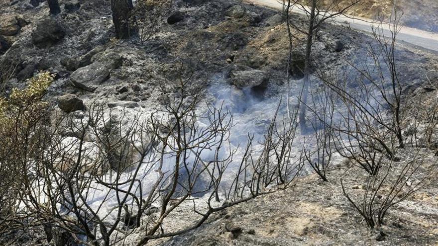 Medio Ambiente envía 17 medios aéreos a los incendios de Zamora y Albacete