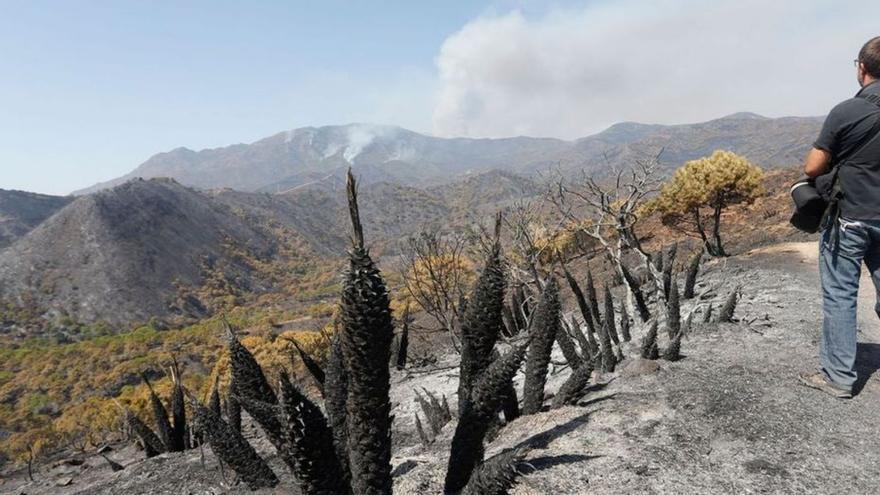 Incendio de Sierra Bermeja