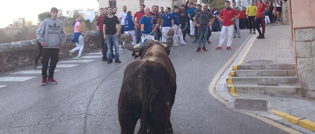 La Vall d&#039;Uixó, &quot;capital&quot; del toro cerril