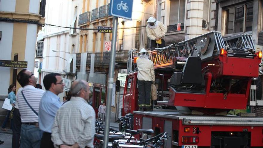 La primavera multiplica la retirada de enjambres por los bomberos