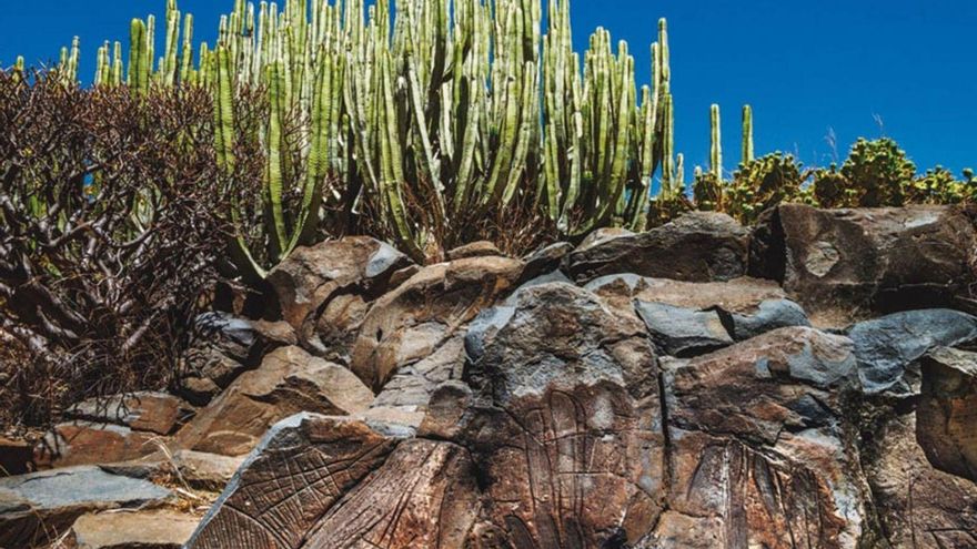 The BIC of Los Llanos de Ifara protects one of the richest deposits on the Island