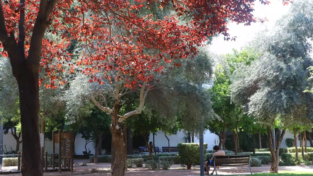 La 'Axarquía verde', la lucha contra el calor y el Festival de la Guitarra, en 'La Crónica del Centro'