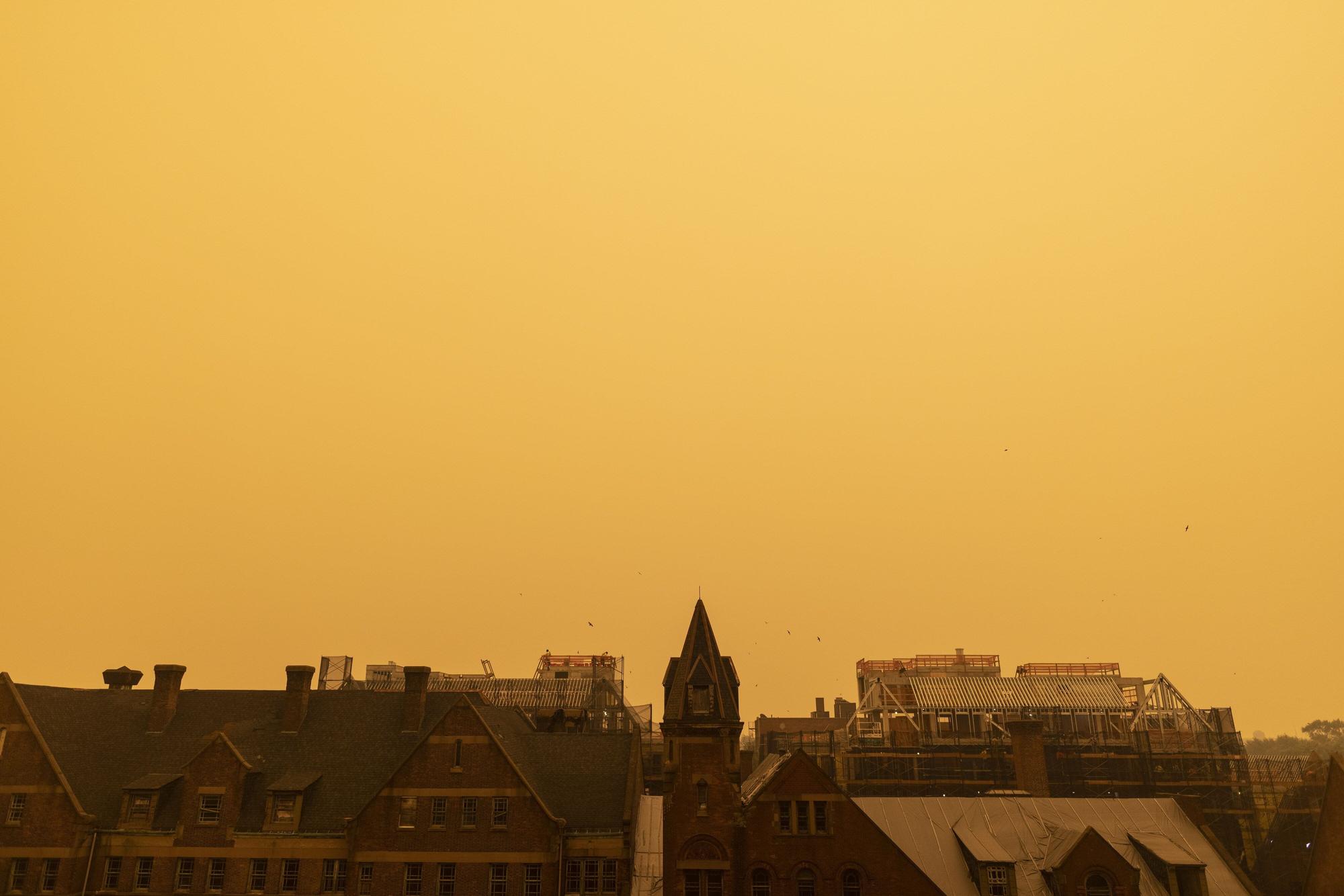 Nueva York cubierta por el humo