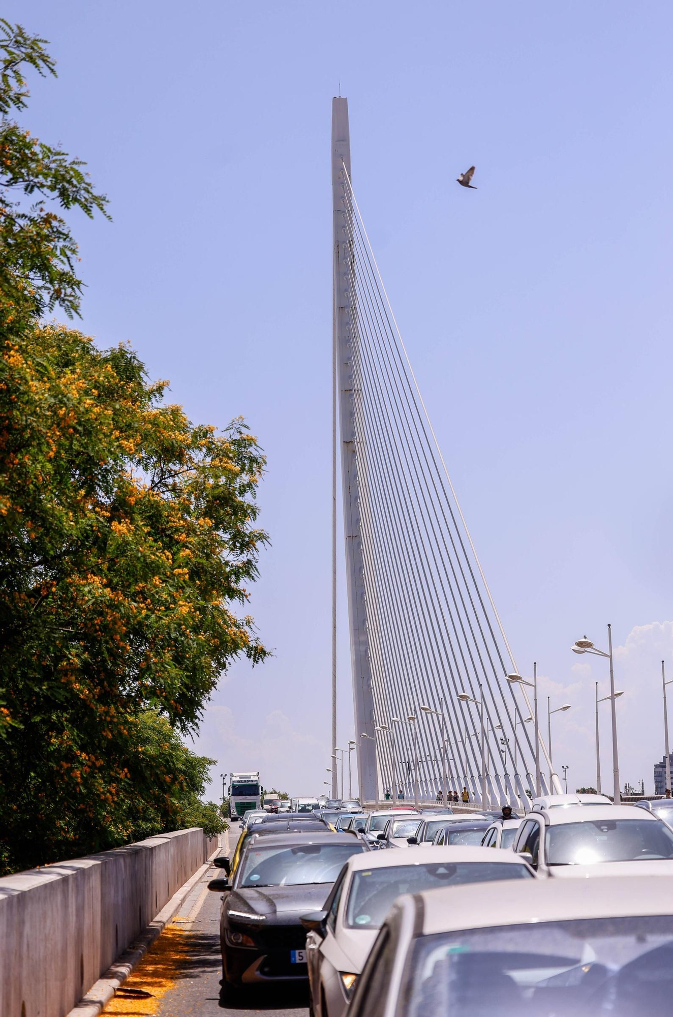 A reparación el puente atirantado de l'Assut de l'Or