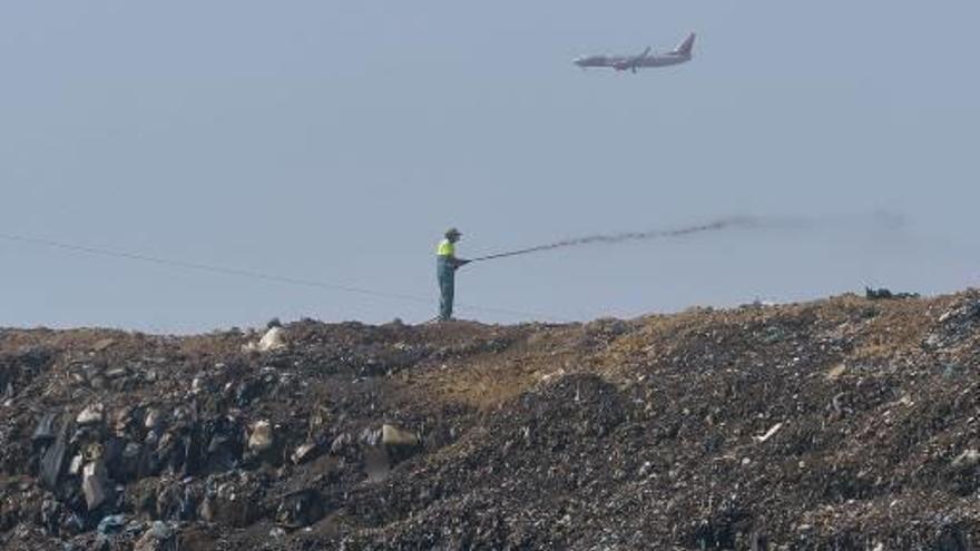 Un trabajador echa agua sobre la basura en la planta ilicitana de Els Cremats.