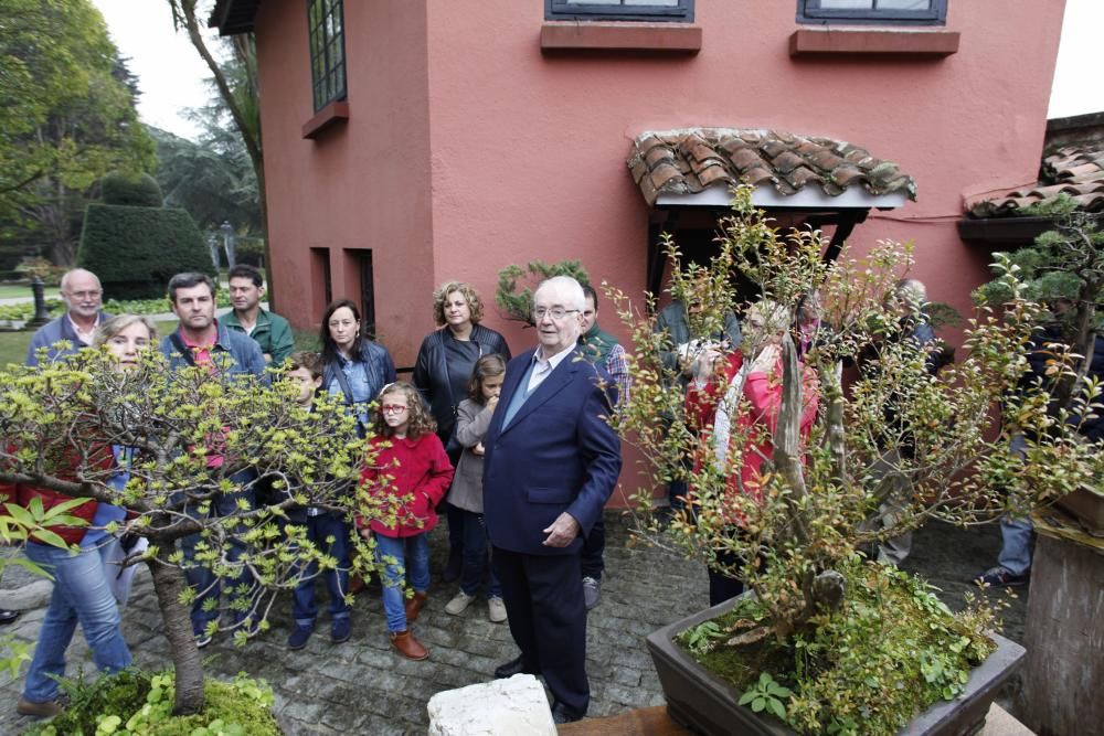 Visita guiada a la colección de bonsai en el Museo Evaristo Valle