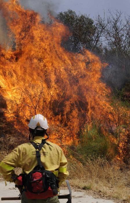 Cinco años desde el gran incendio de la Costa del Sol