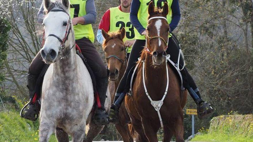 Tres jinetes en la competición