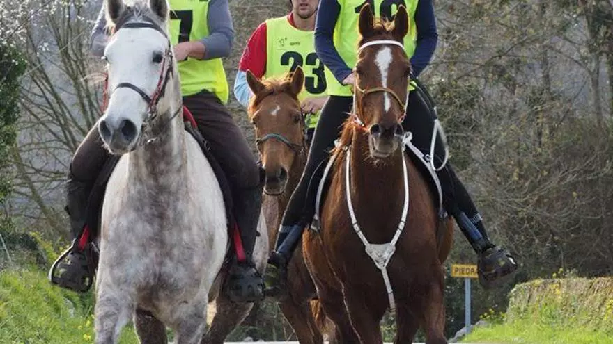 Héctor Vilaplana, con "Hassan", gana el XIX "Llanes Endurance Cup"