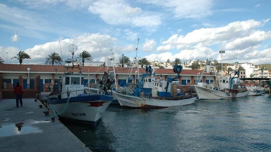 Reabren el caladero de marisco de Málaga cerrado por una bacteria