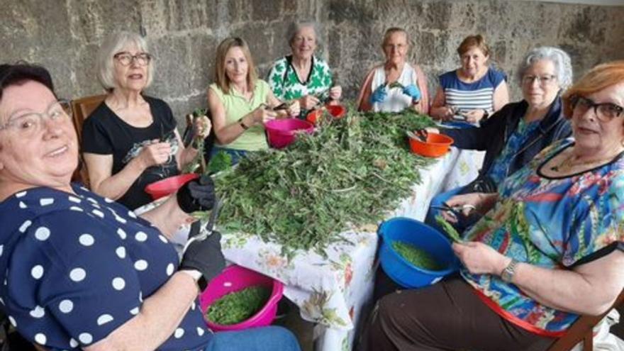 Por la izquierda, Ana María Mencía, Aurora Navas, Jovita Feijoo, Rosi Menéndez, Telvi López, Maruja Bécares, Marisa Suárez y Tina Martínez, trabajando con el relleno vegetal.  | L. P.